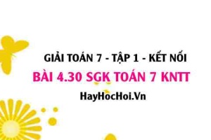 Bài 4.30 SGK Toán 7 tập 1 Kết nối tri thức